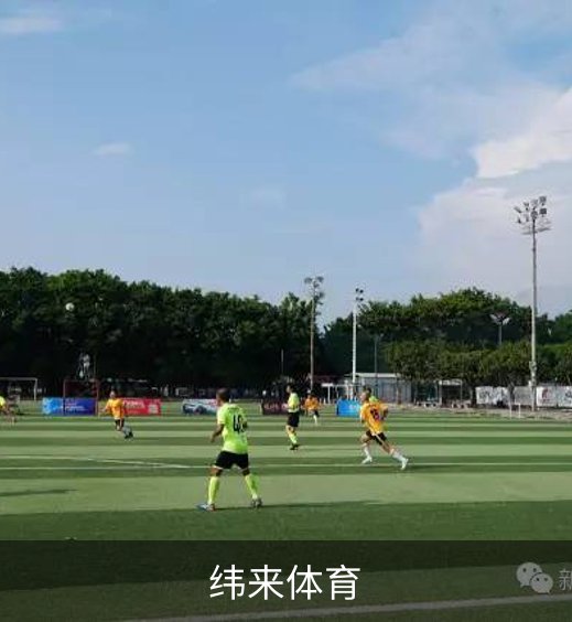 关于纬来体育